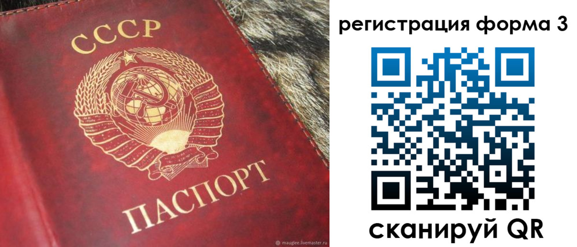 прописка регистрация в Волжске
